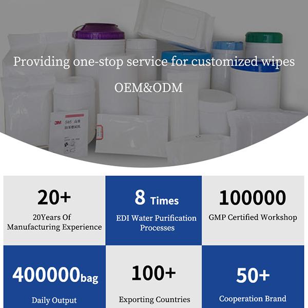 OEM Biodegradable Wet Toilet Paper Alcohol Free Hypoallergenic Adult Flushable Wipes 0