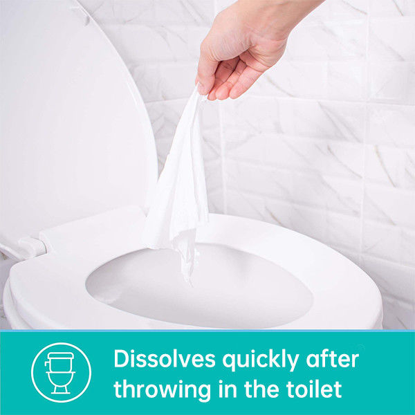 OEM Biodegradable Wet Toilet Paper Alcohol Free Hypoallergenic Adult Flushable Wipes 3